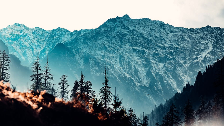 Himachal Holiday Tour And Travel